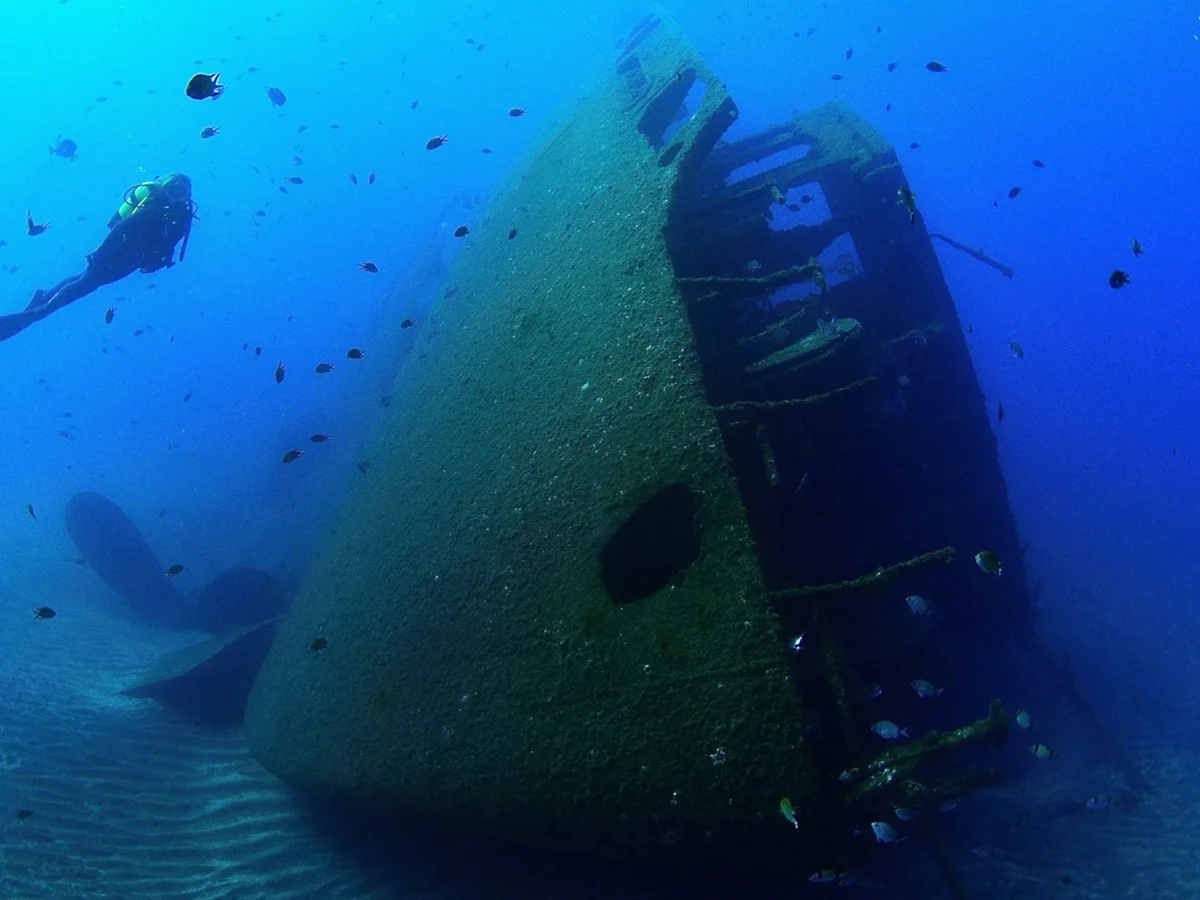 Azores Dive Center, Diving AZORES SUB