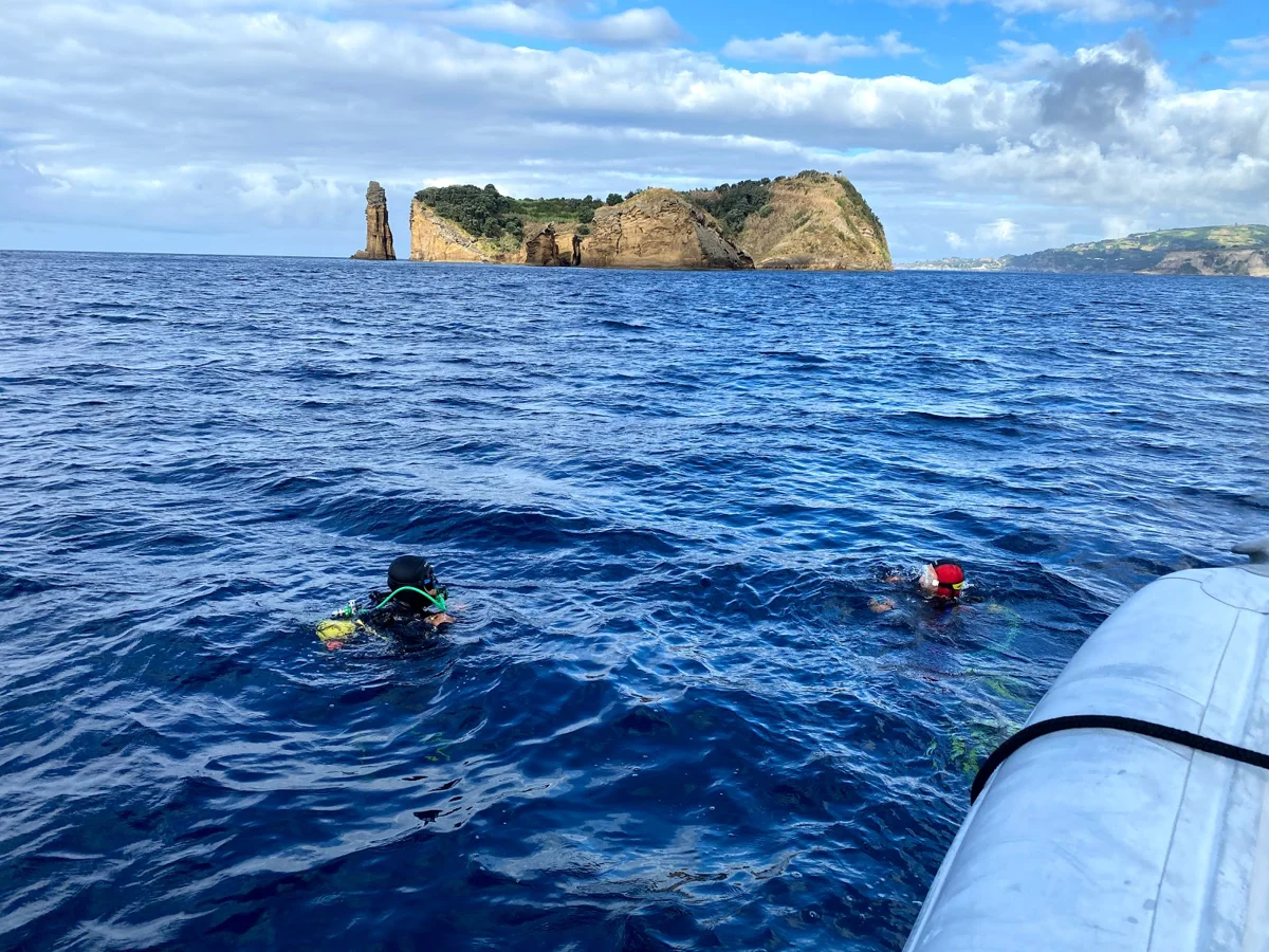 Azores Dive Center, Diving AZORES SUB